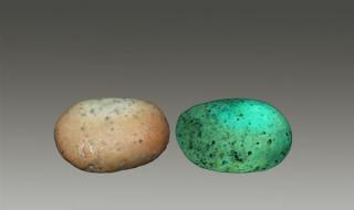 陨石夜明珠 陨石夜明珠