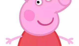 小猪佩奇动画片新版的是哪的 动画片少儿小猪佩奇
