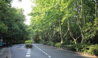 适合发朋友圈写春雪的句子 春雪的说说发朋友圈